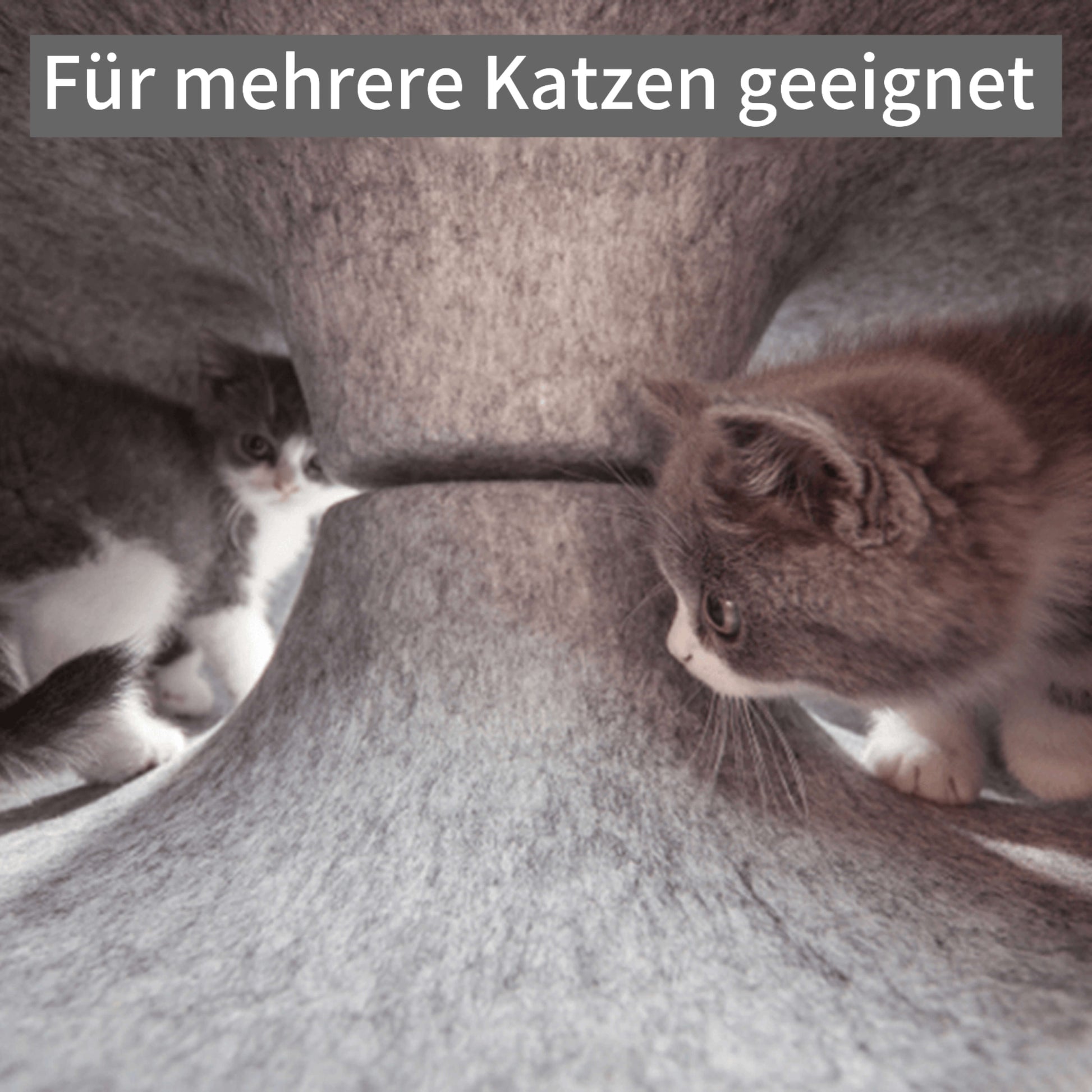 Cat Toy Turner Natural Wool Felt | Cozy Cat Haven-4