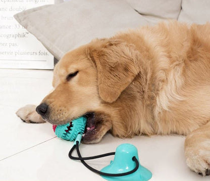 Interactive Dog Toy Durable Rubber with Suction Cup | Chewmaster-3