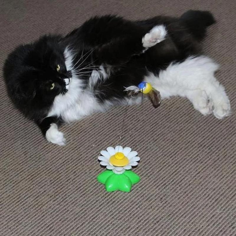 Interactive Cat Toy Butterfly Eco-Friendly Material | Feline Fun-4
