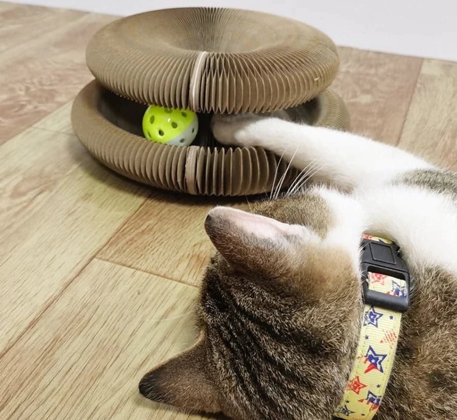 Cat Scratching Post Flexible Durable Design | Purrfect Playtime-2