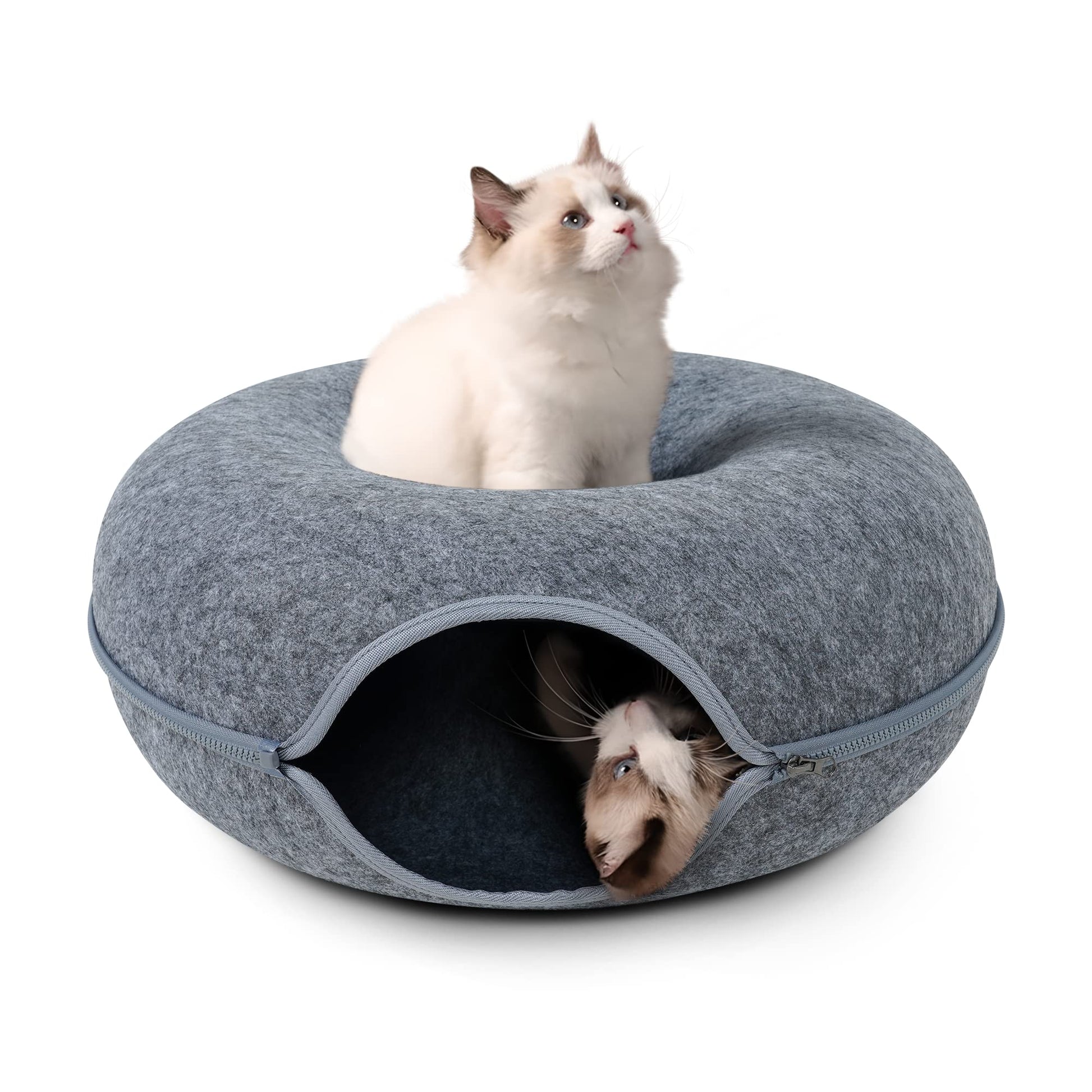 https://cdn.shopify.com/s/files/1/0704/3081/8569/files/81qNkOPFviL.jpg?v=1735961507