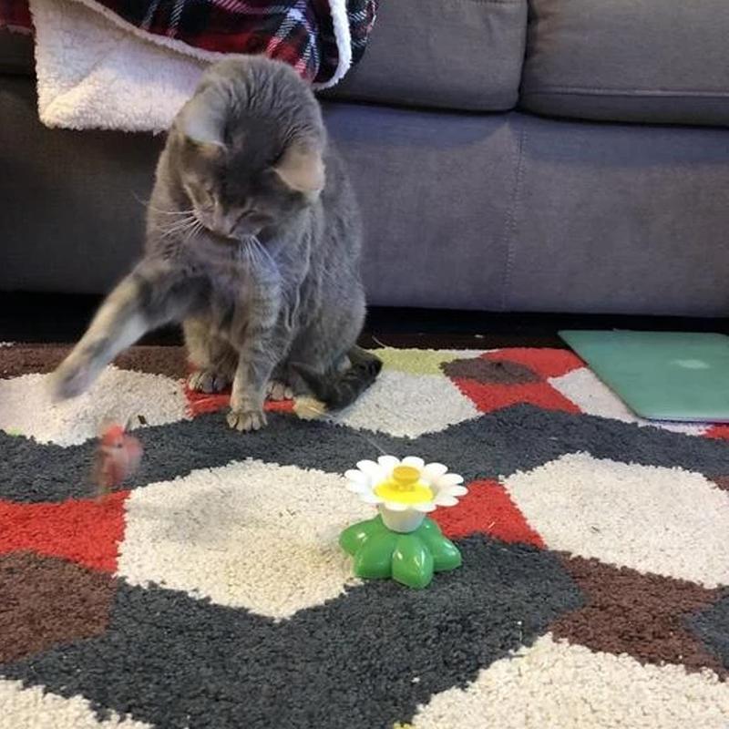 Interactive Cat Toy Butterfly Eco-Friendly Material | Feline Fun-5