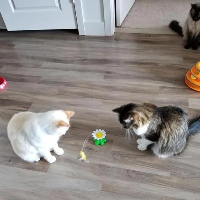 Interactive Cat Toy Butterfly Eco-Friendly Material | Feline Fun-6