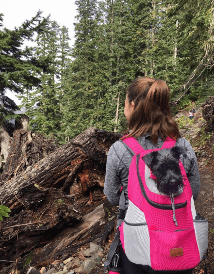 Unisex Pet Carrier Backpack Grey Breathable Fabric | WagBag-2