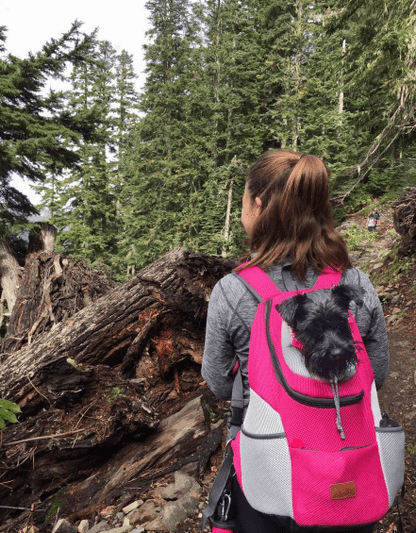 Unisex Pet Carrier Backpack Grey Breathable Fabric | WagBag-2