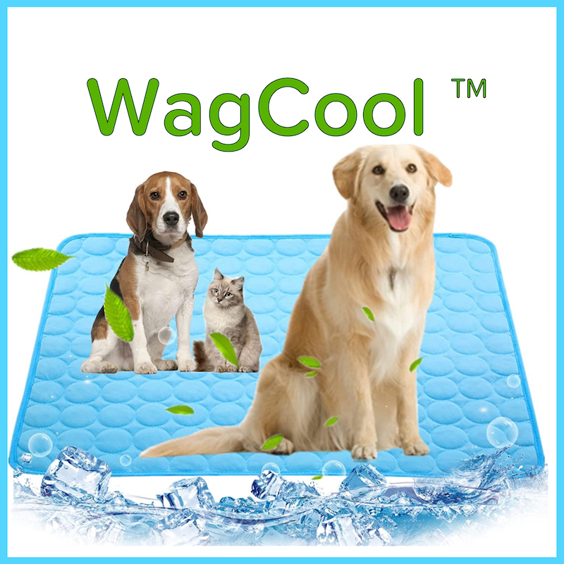 Pet Cooling Mat Blue Ice Silk | CoolPaws-2
