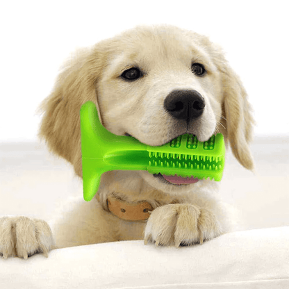 Dog Toothbrush Silicone BPA-Free | Canine Care-2