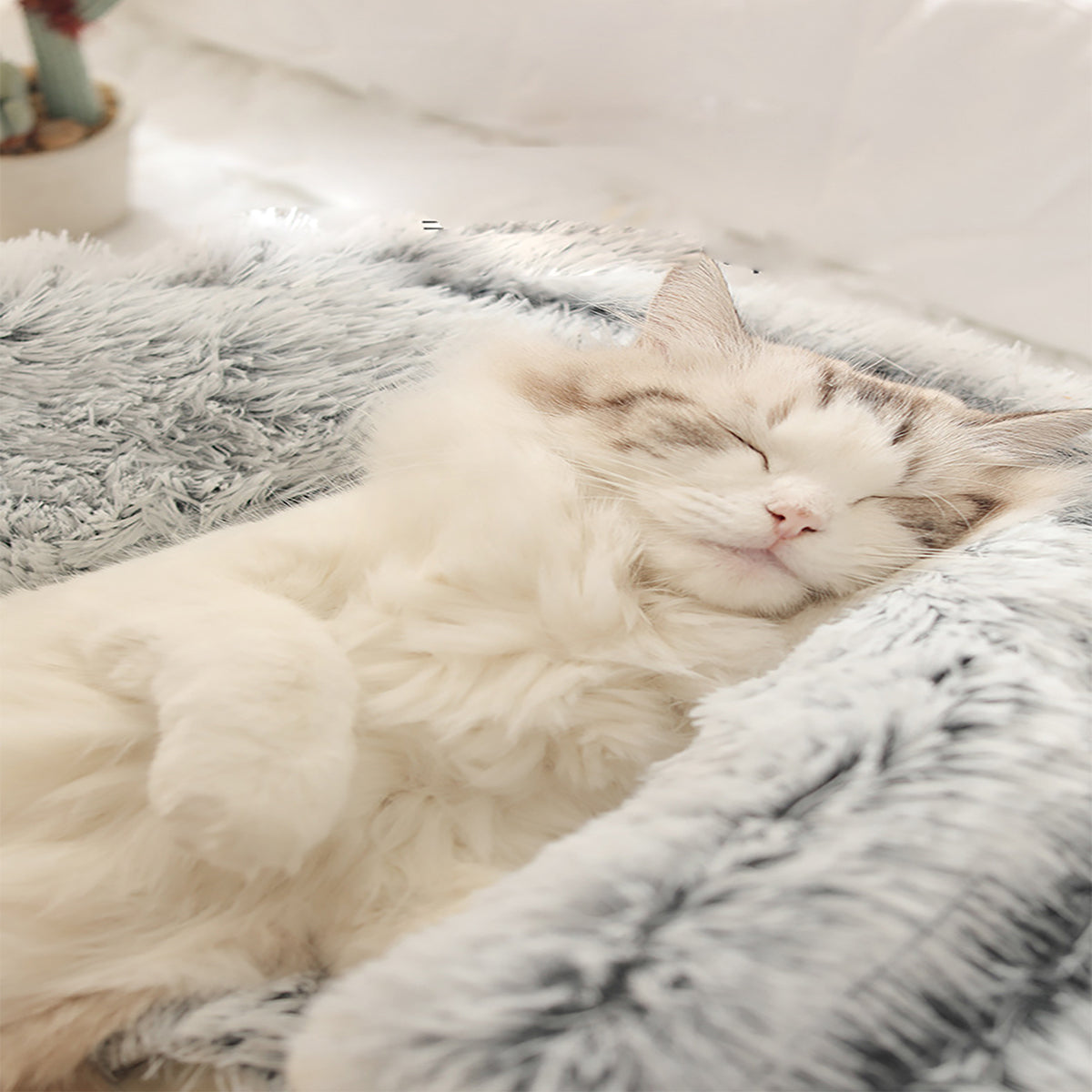 Cozy Pet Bed Plush for Dogs and Cats | Snugpaw-4