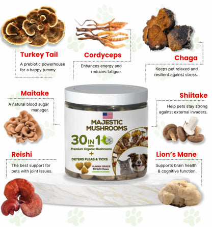 Pet Chew Treats Organic Super Mushrooms | Calming Blend-3