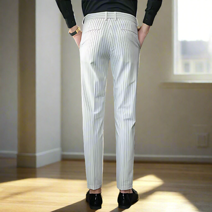 Men's Trousers Slim Fit Vertical Stripe Polyester | James-4