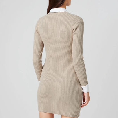 Classic Knit Collared Mini Dress | Jessenia