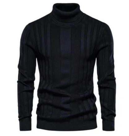 Men Ribbed Knit Turtleneck Sweater | Ivan