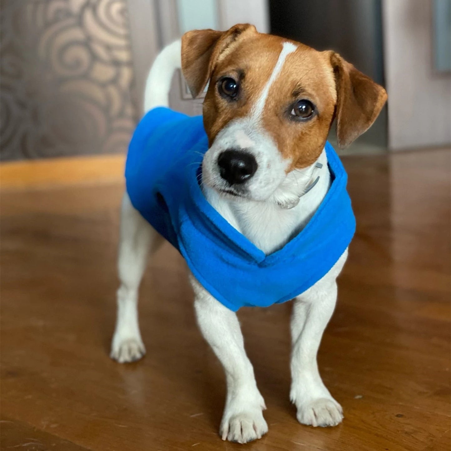 Pet Fleece Harness for Dogs and Cats | Cozy Comfort-2