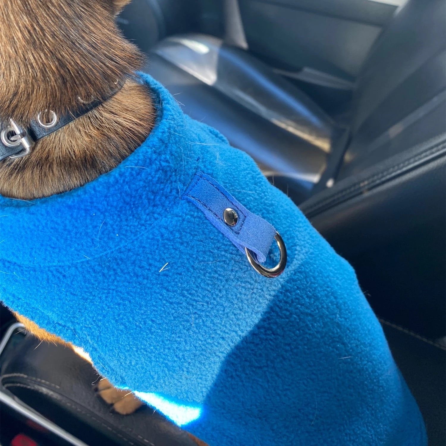 Pet Fleece Harness for Dogs and Cats | Cozy Comfort-4