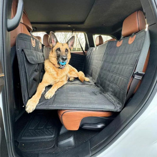 https://cdn.shopify.com/s/files/1/0704/3081/8569/files/petcruiser5.jpg?v=1717051858