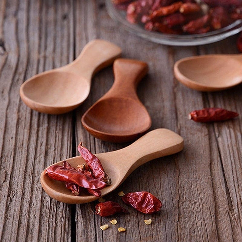 Mini Wooden Condiment Spoon Set – 4-Piece Schima Superba Wood