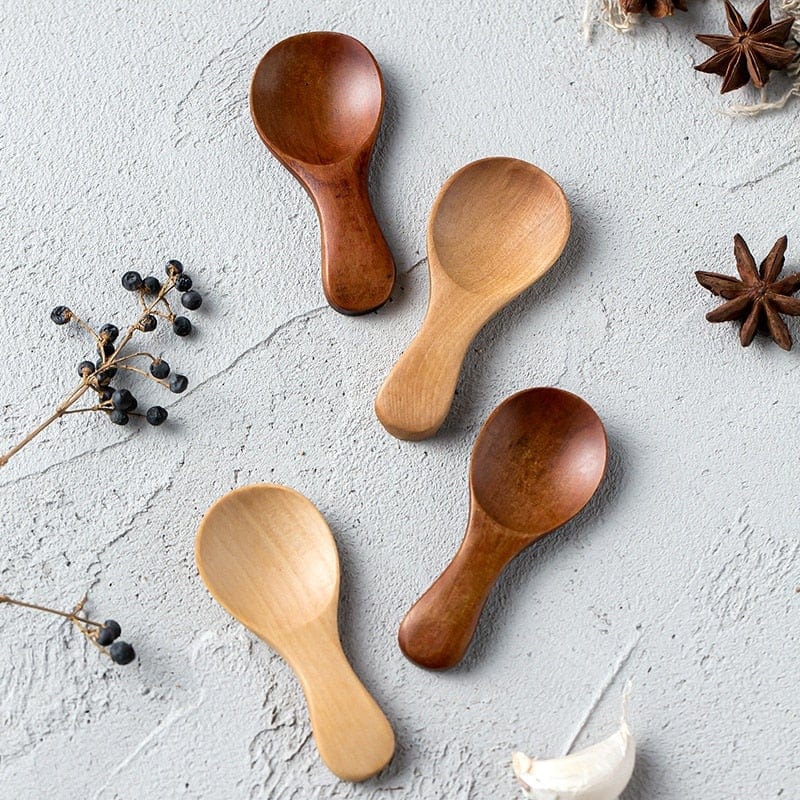 Mini Wooden Condiment Spoon Set – 4-Piece Schima Superba Wood