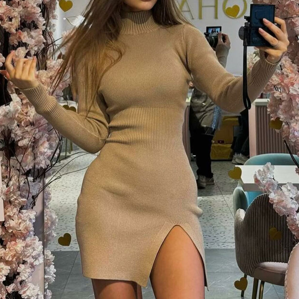 High Neck Ribbed Knit Mini Dress Front